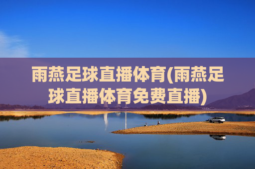 雨燕足球直播体育(雨燕足球直播体育免费直播)