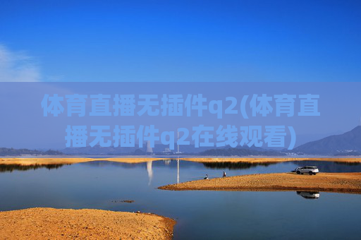 体育直播无插件q2(体育直播无插件q2在线观看)