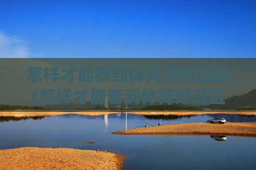 怎样才能看到体育频道直播(怎样才能看到体育频道直播节目)如何观看体育频道直播
