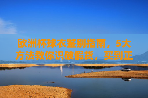 欧洲杯球衣鉴别指南,5大方法教你识破假货,买到正版战袍