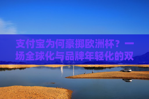 支付宝为何豪掷欧洲杯?一场全球化与品牌年轻化的双向奔赴,支付宝豪掷欧洲杯,全球化与品牌年轻化的双向奔赴