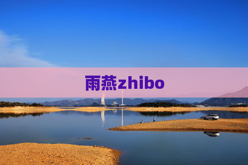 雨燕zhibo