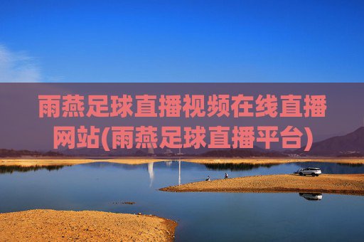 雨燕足球直播视频在线直播网站(雨燕足球直播平台)