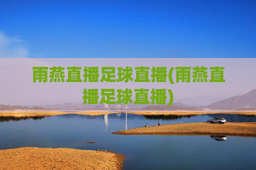 雨燕直播足球直播(雨燕直播足球直播)