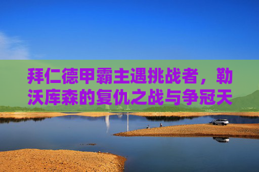 拜仁德甲霸主遇挑战者，勒沃库森的复仇之战与争冠天平，拜仁德甲霸主遇挑战者，勒沃库森复仇争冠战