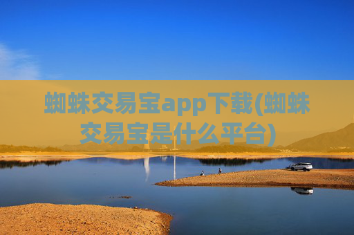 蜘蛛交易宝app下载(蜘蛛交易宝是什么平台)