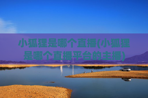 小狐狸是哪个直播(小狐狸是哪个直播平台的主播)