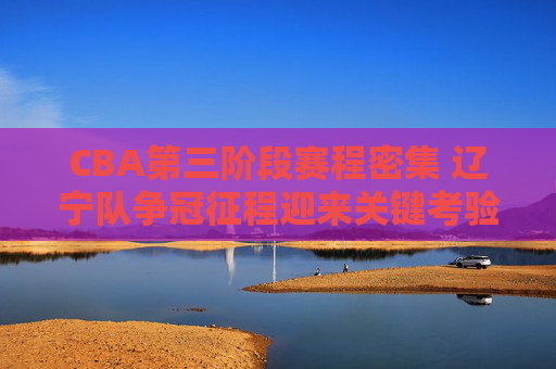 CBA第三阶段赛程密集 辽宁队争冠征程迎来关键考验，CBA第三阶段赛程密集 辽宁队争冠迎关键考验