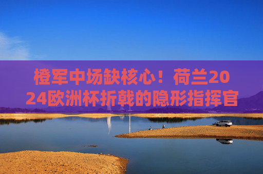 橙军中场缺核心!荷兰2024欧洲杯折戟的隐形指挥官,荷兰2024欧洲杯折戟,中场缺核心,隐形指挥官缺席
