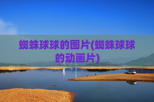 蜘蛛球球的图片(蜘蛛球球的动画片)