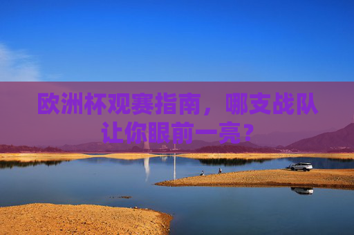 欧洲杯观赛指南,哪支战队让你眼前一亮?