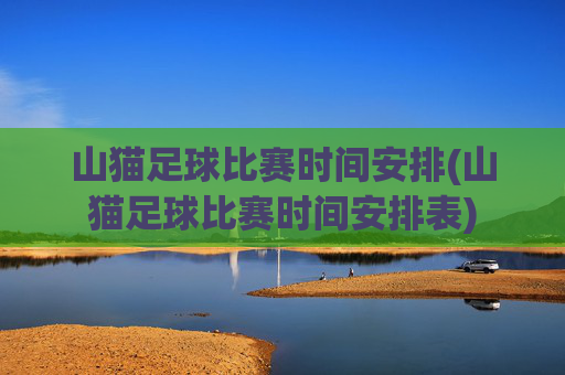 山猫足球比赛时间安排(山猫足球比赛时间安排表)