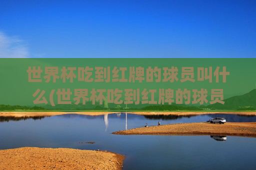 世界杯吃到红牌的球员叫什么(世界杯吃到红牌的球员叫什么名字)