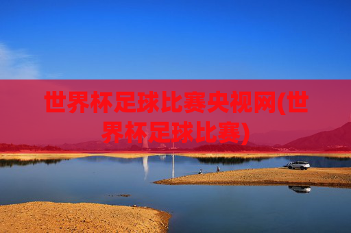 世界杯足球比赛央视网(世界杯足球比赛)