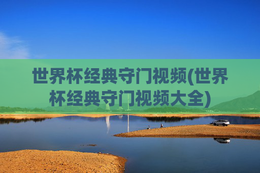 世界杯经典守门视频(世界杯经典守门视频大全)
