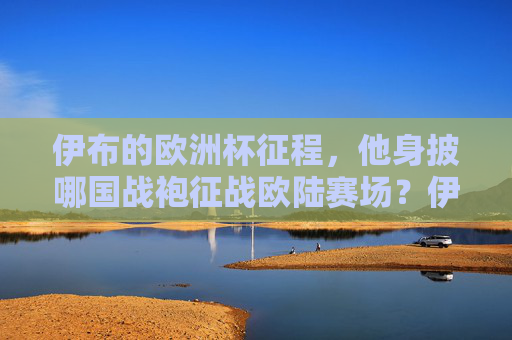 伊布的欧洲杯征程,他身披哪国战袍征战欧陆赛场?伊布欧洲杯身披哪国战袍?