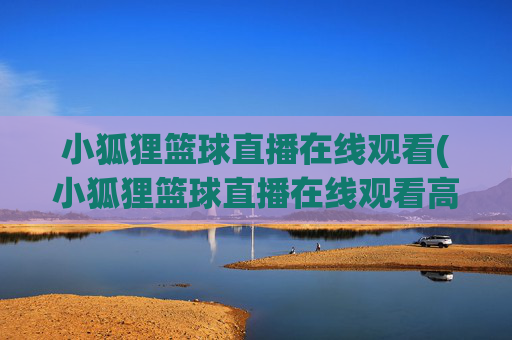 小狐狸篮球直播在线观看(小狐狸篮球直播在线观看高清)