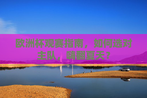 欧洲杯观赛指南,如何选对主队,嗨翻夏天?