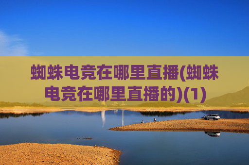 蜘蛛电竞在哪里直播(蜘蛛电竞在哪里直播的)(1)