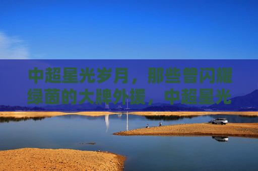中超星光岁月，那些曾闪耀绿茵的大牌外援，中超星光岁月，闪耀绿茵的大牌外援