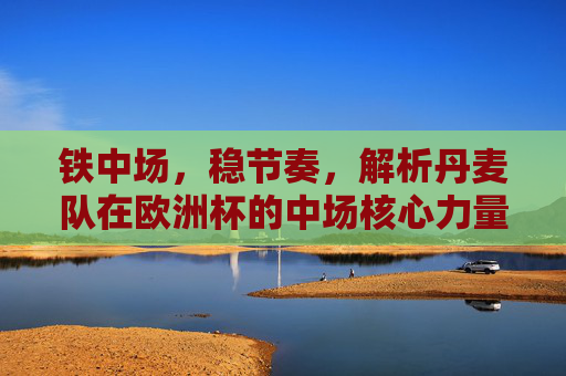 铁中场,稳节奏,解析丹麦队在欧洲杯的中场核心力量,丹麦欧洲杯铁中场,稳节奏的核心力量