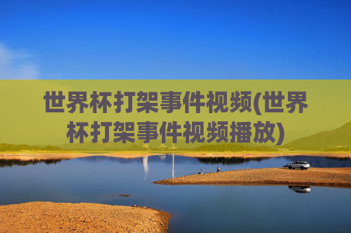 世界杯打架事件视频(世界杯打架事件视频播放)