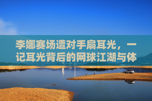 李娜赛场遭对手扇耳光，一记耳光背后的网球江湖与体育精神，李娜赛场遭耳光，一记耳光背后的网球江湖与体育精神