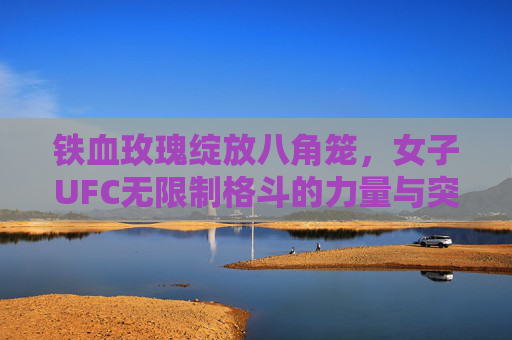 铁血玫瑰绽放八角笼,女子UFC无限制格斗的力量与突破,铁血玫瑰绽八角笼,女子UFC无限制格斗的力量与突破