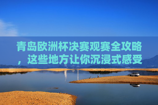 青岛欧洲杯决赛观赛全攻略，这些地方让你沉浸式感受足球激情！青岛欧洲杯决赛观赛全攻略，沉浸式感受足球激情
