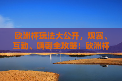 欧洲杯玩法大公开,观赛、互动、嗨翻全攻略!欧洲杯观赛互动嗨翻全攻略