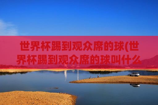 世界杯踢到观众席的球(世界杯踢到观众席的球叫什么)世界杯踢到观众席的球