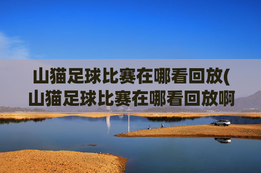 山猫足球比赛在哪看回放(山猫足球比赛在哪看回放啊)山猫足球比赛回放怎么看