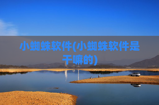 小蜘蛛软件(小蜘蛛软件是干嘛的)