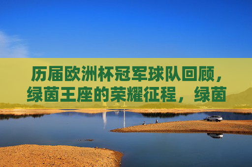 历届欧洲杯冠军球队回顾，绿茵王座的荣耀征程，绿茵王座荣耀征程，欧洲杯冠军回顾