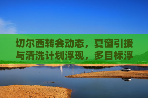 切尔西转会动态,夏窗引援与清洗计划浮现,多目标浮出水面,切尔西夏窗引援清洗计划浮现 多目标引关注