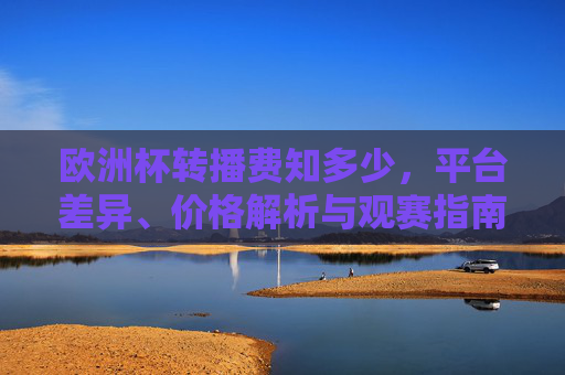欧洲杯转播费知多少，平台差异、价格解析与观赛指南，欧洲杯转播费，平台差异、价格解析与观赛指南