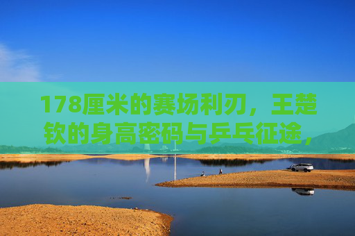 178厘米的赛场利刃，王楚钦的身高密码与乒乓征途，王楚钦的身高密码，178厘米赛场利刃的乒乓征途