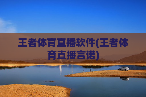 王者体育直播软件(王者体育直播言诺)