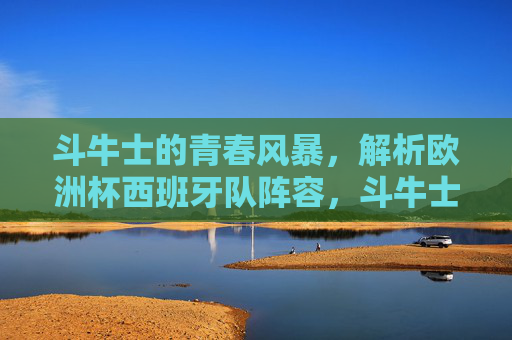 斗牛士的青春风暴,解析欧洲杯西班牙队阵容,斗牛士青春风暴,欧洲杯西班牙队阵容解析