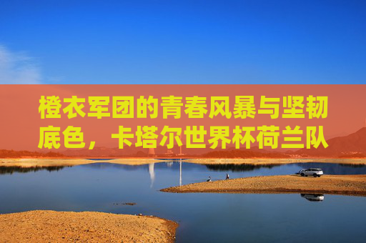 橙衣军团的青春风暴与坚韧底色，卡塔尔世界杯荷兰队阵容解析，橙衣军团青春风暴与坚韧底色，卡塔尔世界杯荷兰队阵容解析