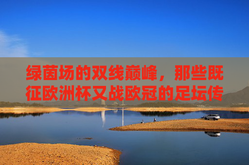 绿茵场的双线巅峰,那些既征欧洲杯又战欧冠的足坛传奇,欧洲杯与欧冠,足坛双线巅峰传奇