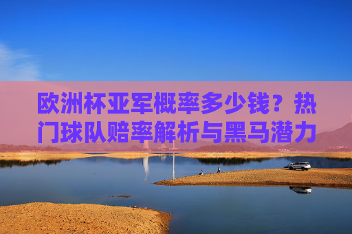 欧洲杯亚军概率多少钱？热门球队赔率解析与黑马潜力分析，欧洲杯亚军赔率解析，热门球队与黑马潜力分析