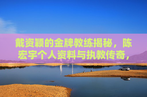 戴资颖的金牌教练揭秘,陈宏宇个人资料与执教传奇,戴资颖金牌教练陈宏宇,个人资料与执教传奇揭秘