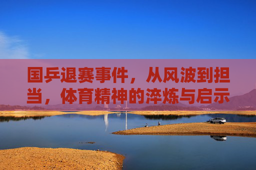 国乒退赛事件，从风波到担当，体育精神的淬炼与启示，国乒退赛，风波到担当，体育精神的淬炼与启示