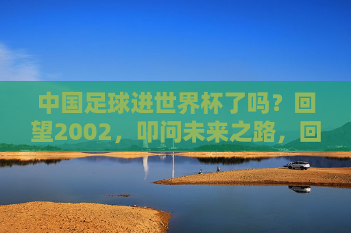 中国足球进世界杯了吗？回望2002，叩问未来之路，回望2002，叩问未来，中国足球世界杯之路