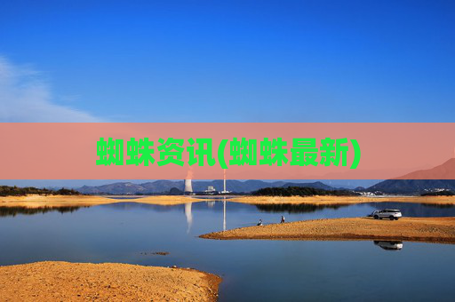 蜘蛛资讯(蜘蛛最新)