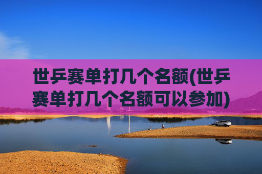 世乒赛单打几个名额(世乒赛单打几个名额可以参加)