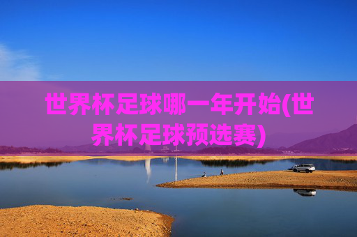 世界杯足球哪一年开始(世界杯足球预选赛)