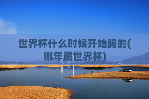 世界杯什么时候开始踢的(哪年踢世界杯)