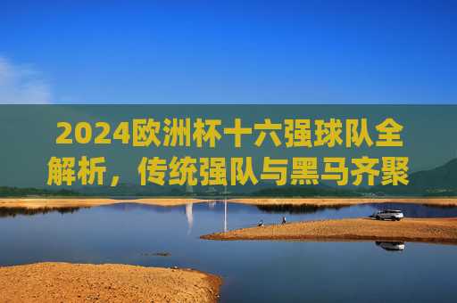 2024欧洲杯十六强球队全解析，传统强队与黑马齐聚，淘汰赛悬念迭起，2024欧洲杯十六强，传统强队黑马齐聚，淘汰赛悬念迭起